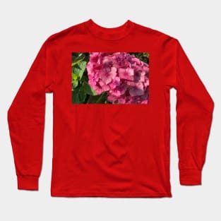 Hydrangea in morning sunshine Long Sleeve T-Shirt